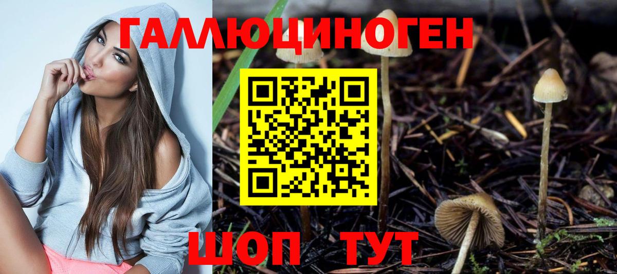 Галлюциногенные грибы Psilocybine cubensis  закладки  Волжский  Вход с VPN  Галлюциногенные грибы мицелий 